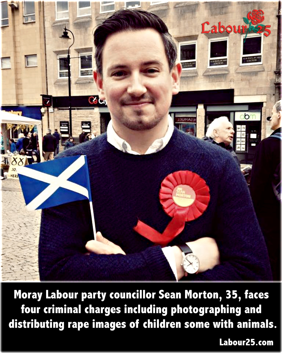 Another RISING Labour Party star appears in court over child sex&nbsp;offences